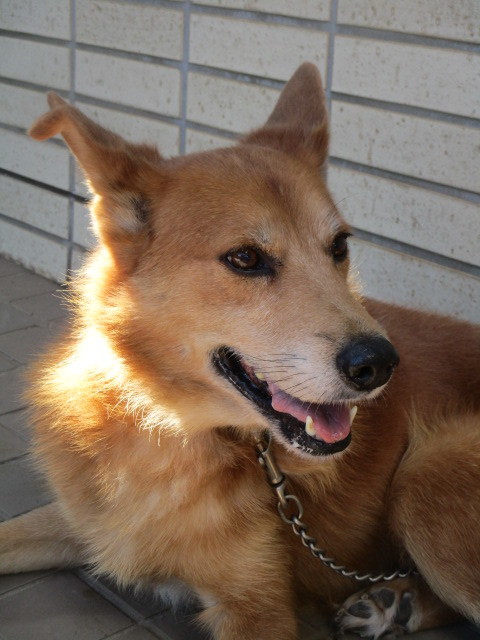 f0078320_00135259.jpg