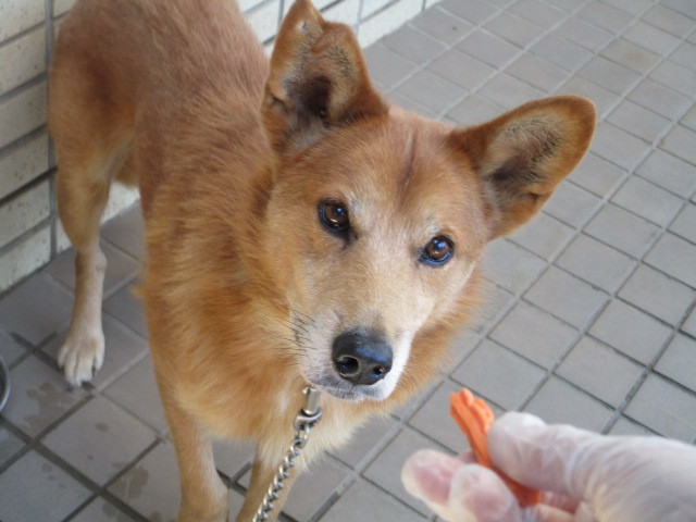 f0078320_00141375.jpg