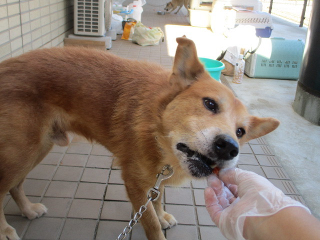f0078320_00142136.jpg