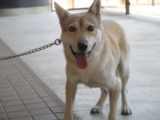 f0078320_00185871.jpg