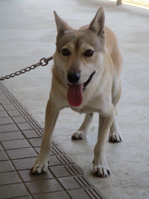 f0078320_00190734.jpg