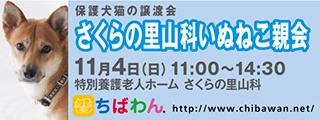 10/30引き出し編・レポート紹介　全　５７頭_f0078320_02202185.jpg