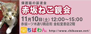 10/30引き出し編・レポート紹介　全　５７頭_f0078320_02202884.jpg