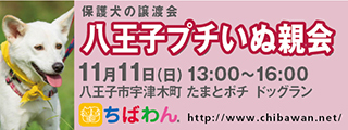 10/30引き出し編・レポート紹介　全　５７頭_f0078320_02204126.jpg