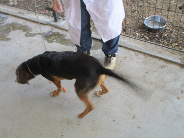 f0078320_16534852.jpg