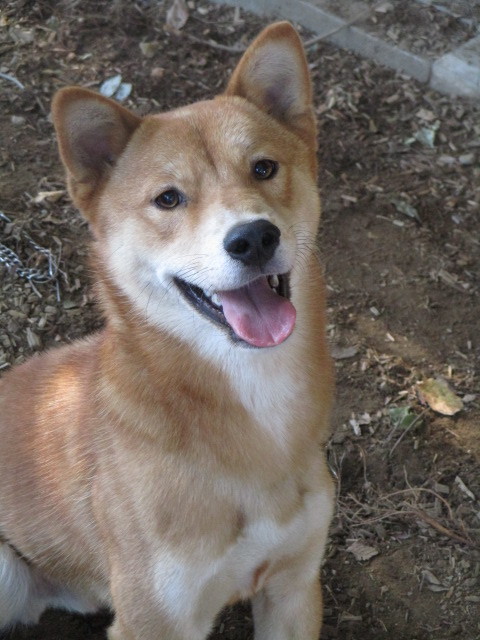 f0078320_17012996.jpg