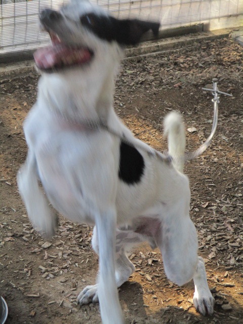 f0078320_17041323.jpg