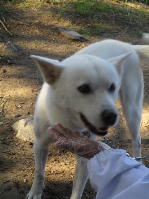 f0078320_17062806.jpg