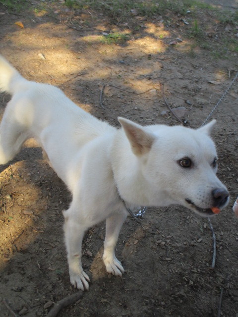 f0078320_17070839.jpg
