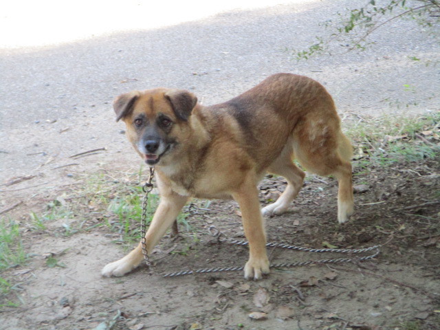 f0078320_17080977.jpg