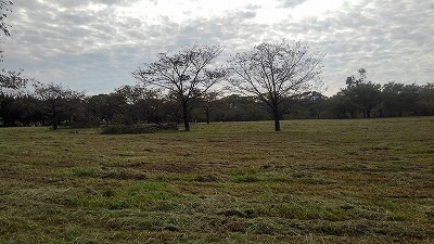 a0172222_08454774.jpg