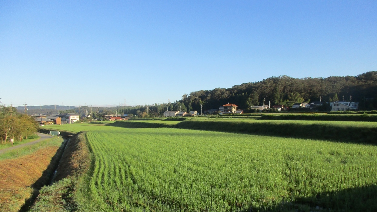 岩屋堂散歩道の早朝の空_d0181824_20363054.jpg