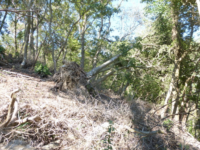 d0024426_06574538.jpg