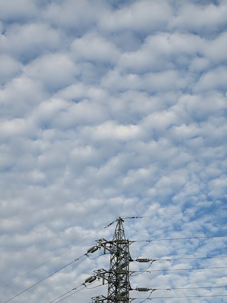 18年10月7日 いわし雲とぶ 空の下 今日の風に吹かれましょう 18年10月7日 いわし雲とぶ 空の下 今日の風に吹かれましょう
