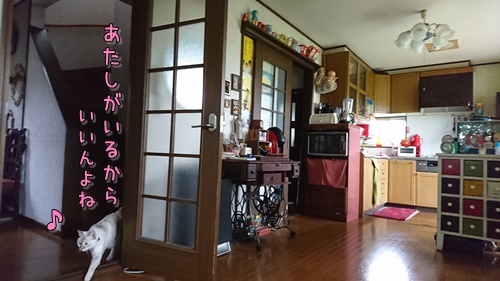 b0151748_11405410.jpg