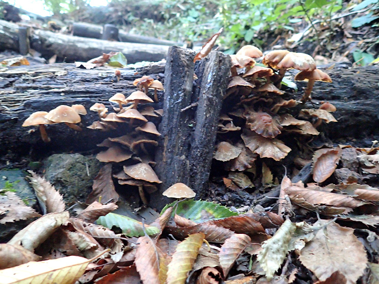 f0214649_03553615.jpg