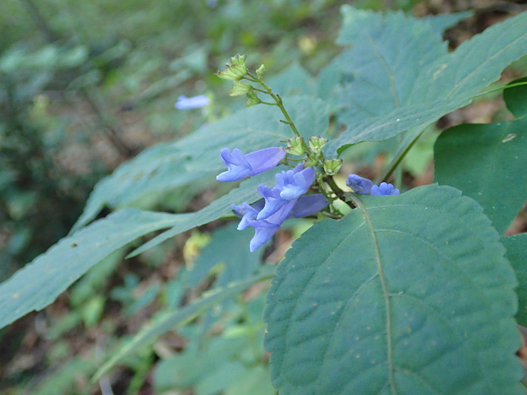 f0214649_03560710.jpg