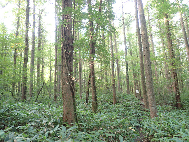 f0214649_04171797.jpg