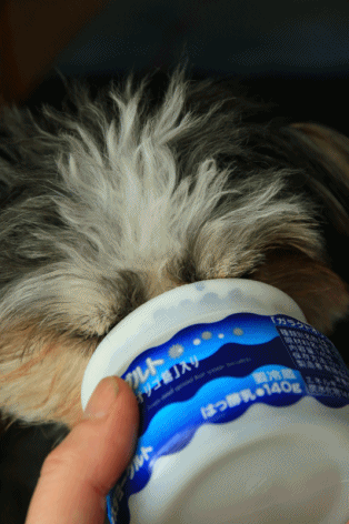 c0145250_10592865.gif