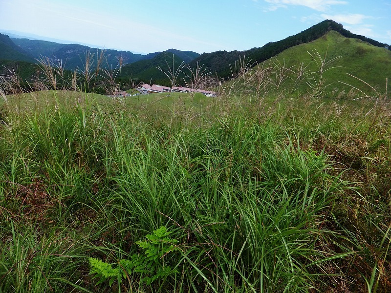 d0048350_15522518.jpg