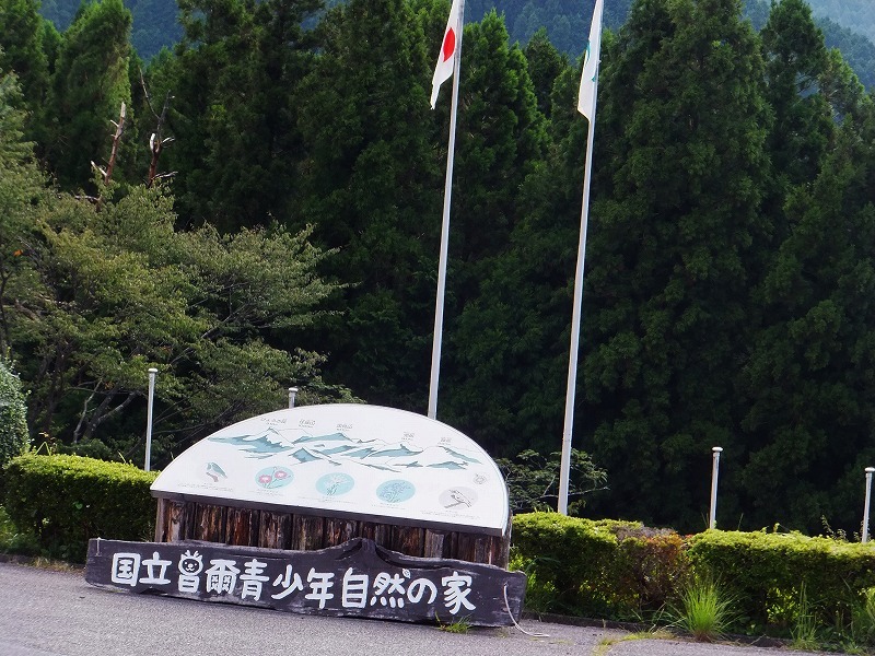 d0048350_15541747.jpg