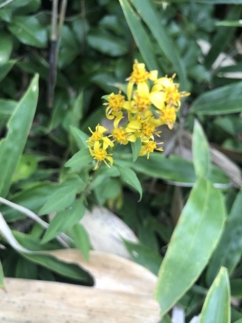 b0214652_17031662.jpeg