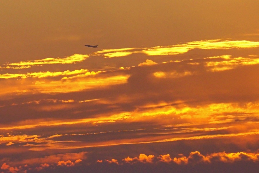 e0229455_23020764.jpg