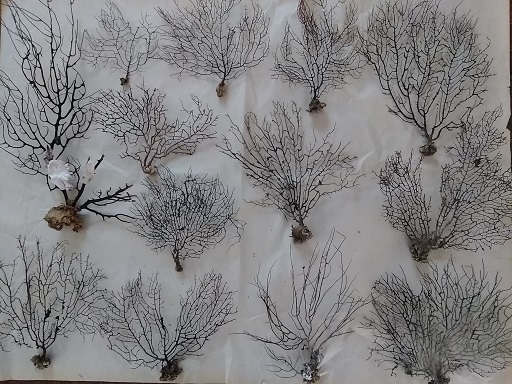 c0172261_08361107.jpg