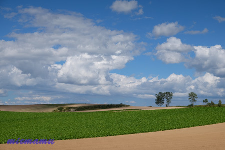 d0340565_16142101.jpg