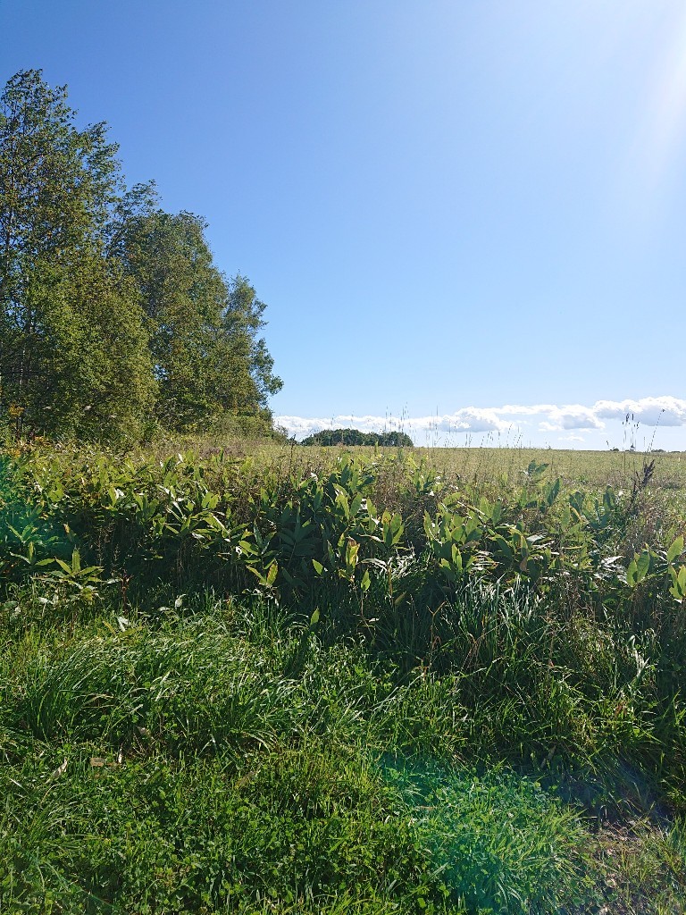 c0311170_20534031.jpg
