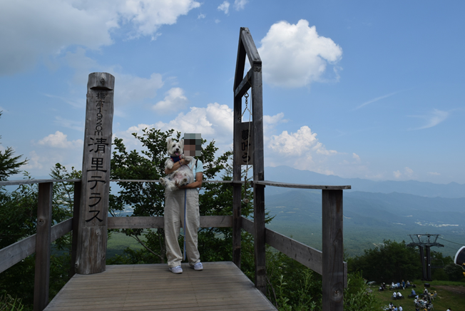 b0242873_12364081.png