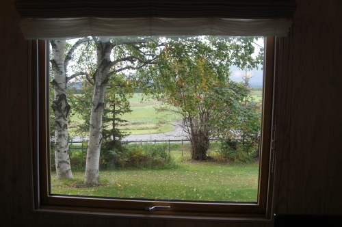 e0181373_20251117.jpg