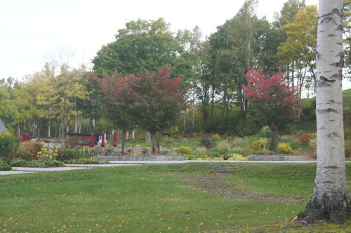 e0181373_20251764.jpg
