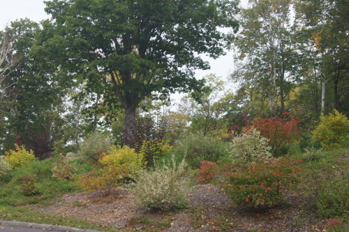 e0181373_20260254.jpg