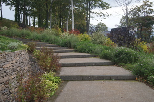 e0181373_20324016.jpg