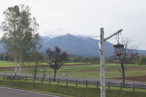 e0181373_20331148.jpg