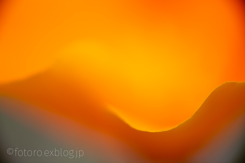 c0268775_15460940.jpg