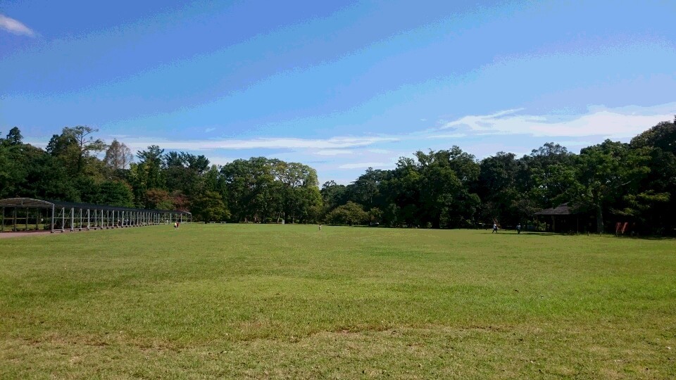 b0245877_00184252.jpg