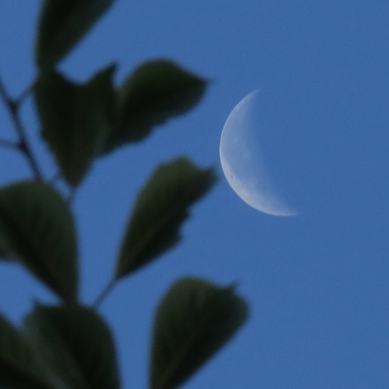 c0183777_2035374.jpg