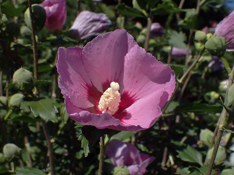 c0183777_2104345.jpg