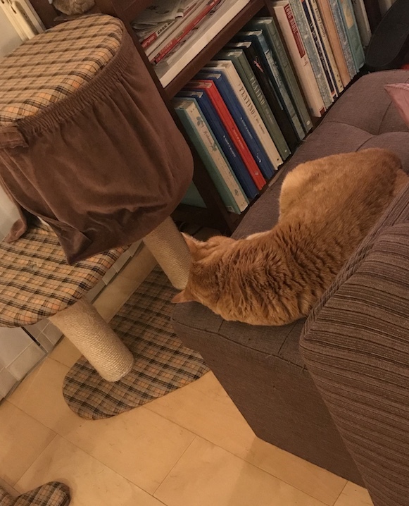 a0130778_20273184.jpeg