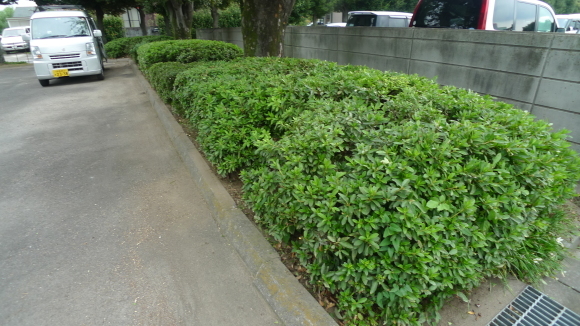 c0212083_15470719.jpg