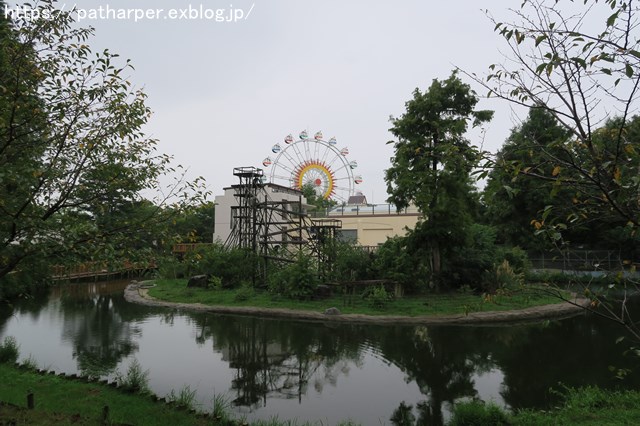 2018年9月 熊本市動植物園 その4 アフリカゾウのガイド_a0052986_7324941.jpg