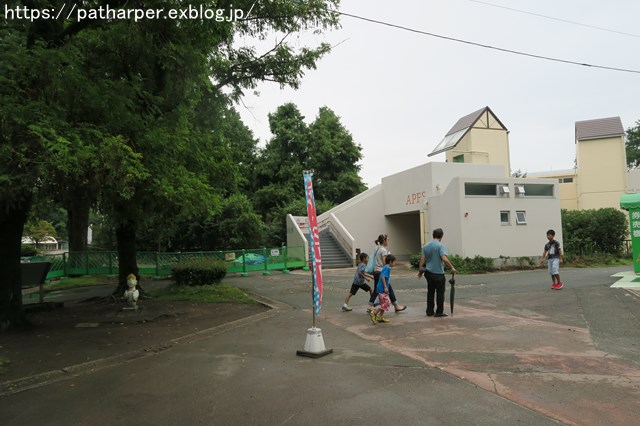 2018年9月 熊本市動植物園 その4 アフリカゾウのガイド_a0052986_7375687.jpg