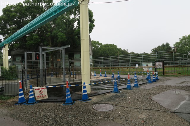 2018年9月 熊本市動植物園 その4 アフリカゾウのガイド_a0052986_746226.jpg