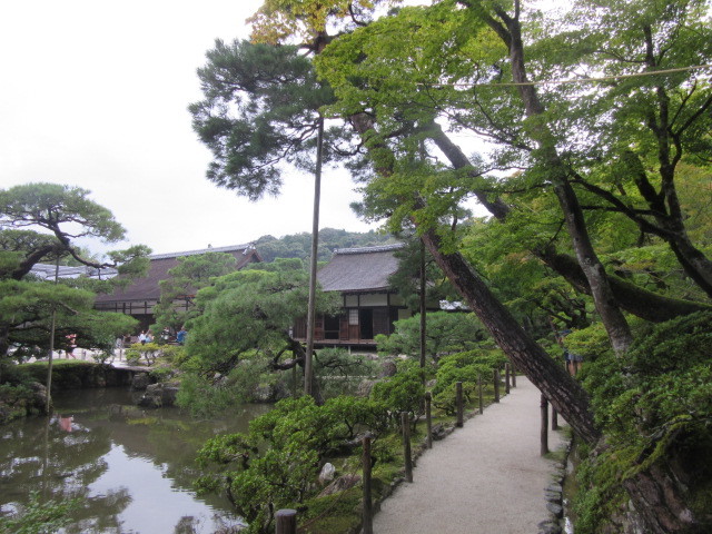 京都へ⑦～バーミヤンの桃と銀閣寺と納屋10人衆と足利学校_b0209886_16055639.jpg