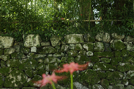 a0025490_21320713.jpg