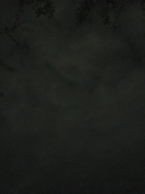 b0042190_06573123.jpeg