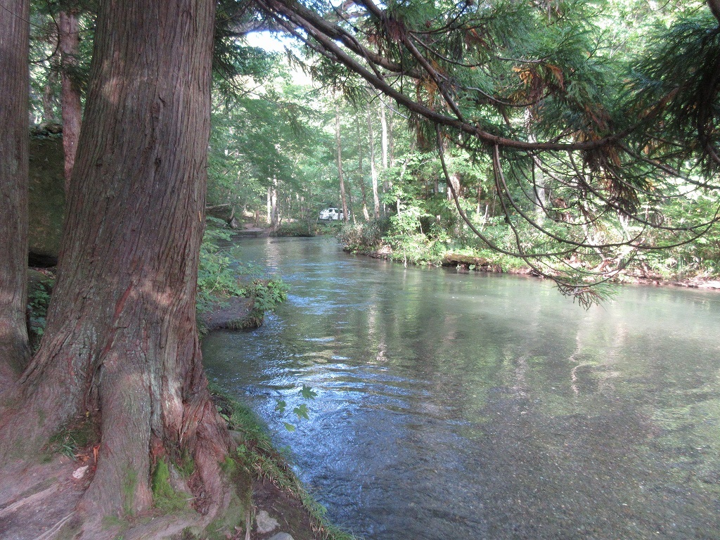 b0177792_12444004.jpg