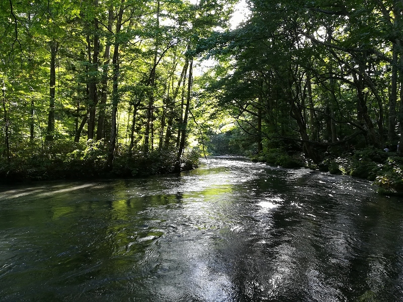 b0177792_12453876.jpg